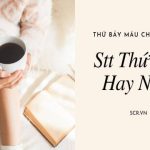 Stt Thứ 7 Hay Nhất ❤️ Status Thứ Bảy Máu Chảy Về Tim