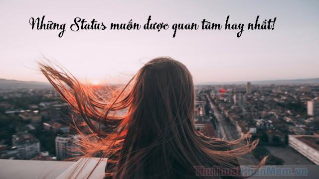 Những status, stt muốn được quan tâm hay nhất