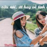 Những câu nói, stt hay về tình chị em