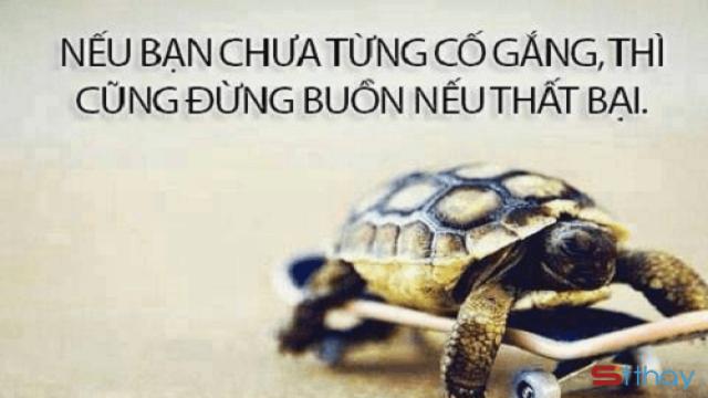 STT đích đến của sự thành công không có bước chân của kẻ lười biếng