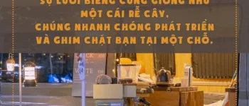 140 stt cố gắng vì tương lai ngắn, cap về sự cố gắng nỗ lực phấn đấu trong cuộc sống