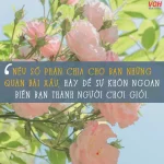 Status hay về con đường phía trước, mọi nỗ lực hôm nay chính là tương lai ngày mai