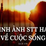 Stt Hay Khi Đăng Ảnh Đi Chơi Cùng Bạn Bè ❤️ Cap Sống Ảo