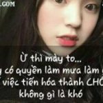 909+Stt chửi bạn chó có văn hóa thâm sâu nhất hiện nay