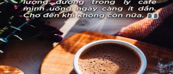 ☕☕ STT Cafe Thả Thính, Những Câu Nói Hay & Chất Nhất