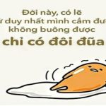 1999+ stt hài hước về cuộc sống, tình yêu và tình bạn câu like HOT nhất