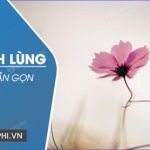 STT lạnh lùng vô cảm hay, ngắn gọn