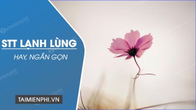 stt lanh lung vo cam hay ngan gon