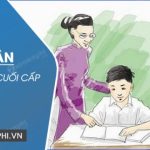 Stt tri ân thầy cô cuối cấp ngắn gọn mà hay