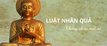 +999 Những câu nói hay về luật nhân quả ý nghĩa nhất mọi thời