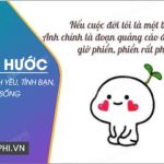 Status hài hước, Vui cười ra nước mắt