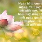 Suy ngẫm về ý nghĩa của giấc mơ trong những Stt hay nhất