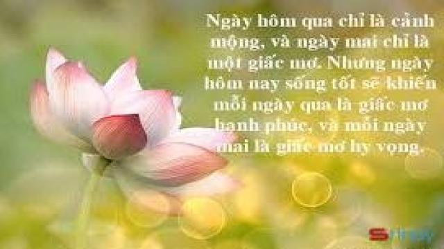 Suy ngẫm về ý nghĩa của giấc mơ trong những Stt hay nhất