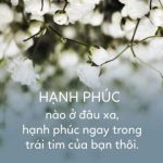 150+ stt hạnh phúc ý nghĩa nhất về cuộc sống, tình yêu