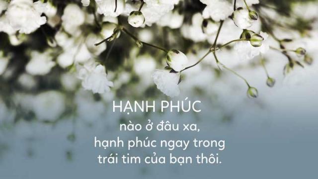 stt-hanh-phuc-2