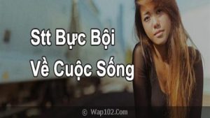 Những Câu Stt Nói Lên Sự Bực Bội Trong Cuộc Sống Hay Nhất