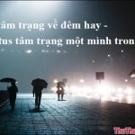 Stt tâm trạng về đêm hay, status tâm trạng 1 mình trong đêm