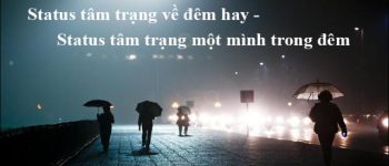 Stt tâm trạng về đêm hay, status tâm trạng 1 mình trong đêm