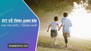 Stt về tình anh em ruột thịt, xã hội hay, hài hước