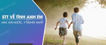 Stt về tình anh em ruột thịt, xã hội hay, hài hước