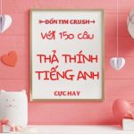 Hệ thống Anh Ngữ Quốc tế AMES