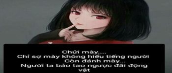 [Tuyển Tập] Stt chửi xéo THÔ MÀ THẬT càng nghe càng Thấm