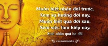 (Mới cập nhật) Những câu nói hay (stt) về luật nhân quả đáng suy ngẫm