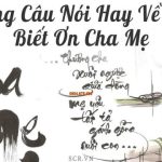 Những Câu Nói Hay Về Người Chồng Vô Tâm ❤️ Stt Buồn