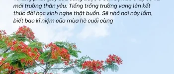 100+ status về mùa hè ý nghĩa, cap về mùa hè nắng nóng hài hước