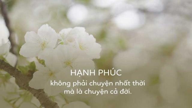 stt-hanh-phuc-4