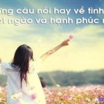 Top 20 câu stt hay về tình yêu thủy chung mãi mãi