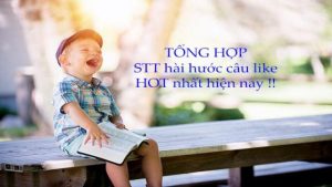 1999+ stt hài hước về cuộc sống, tình yêu và tình bạn câu like HOT nhất