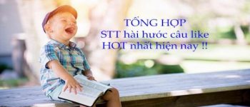 1999+ stt hài hước về cuộc sống, tình yêu và tình bạn câu like HOT nhất