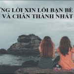 Những lời xin lỗi bạn bè hay và chân thành nhất