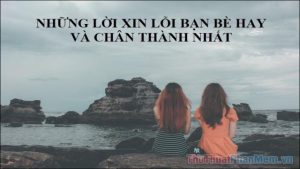 Những lời xin lỗi bạn bè hay và chân thành nhất