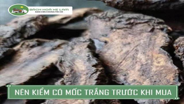 Kiểm Tra Thục địa Có Bị Mốc Trắng