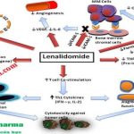 Thuốc Lenalid 10/15/25mg Lenalidomide giá bao nhiêu mua ở đâu?