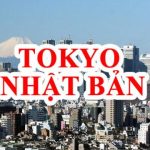 Thành phố Tokyo Nhật Bản ở đâu? Có gì đẹp và mức sống ra sao?