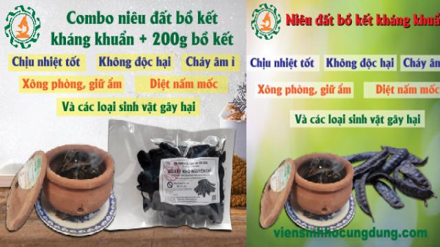 trái bồ kết