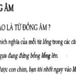 Hướng dẫn Soạn bài Từ đồng âm sgk Ngữ văn 7 tập 1