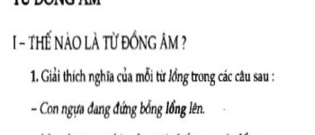 Hướng dẫn Soạn bài Từ đồng âm sgk Ngữ văn 7 tập 1