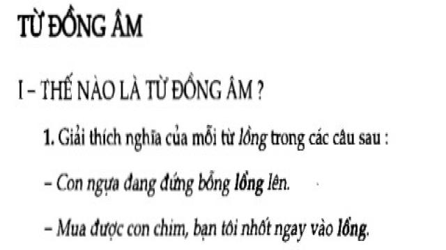 Soạn bài Từ đồng âm sgk Ngữ văn 7 tập 1