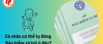 Cá nhân có thể tự đóng Bảo hiểm xã hội ở đâu?