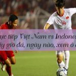 Trực tiếp Việt Nam vs Indonesia: Mấy giờ đá, ngày nào, xem ở đâu?