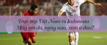 Trực tiếp Việt Nam vs Indonesia: Mấy giờ đá, ngày nào, xem ở đâu?