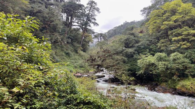 Thăm vương quốc Bhutan, chứng kiến điều làm nên đất nước hạnh phúc nhất thế giới