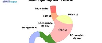 Viêm hang vị dạ dày: Nguyên nhân, triệu chứng và cách phòng ngừa