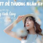 STT Về Hoa Cẩm Tú Cầu Hay Nhất ❤️ Ngọt Ngào Nhất