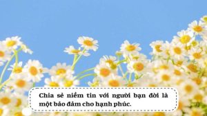 111 câu nói hay về vợ chồng hạnh phúc và tình cảm hôn nhân