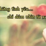 Cap hay về tình yêu đơn phương – mỗi câu nói là một nỗi buồn!